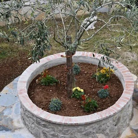 Bed & Breakfast Nel Montesano sulla Marcellana
