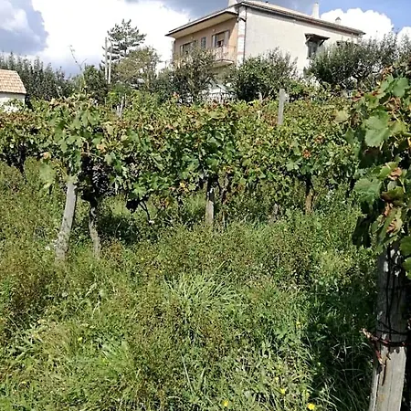 Nel Bed & Breakfast Montesano sulla Marcellana